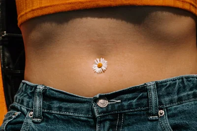 Navel Daisy